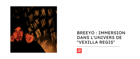 Breeyo : Immersion dans l'Univers de "VEXILLA REGIS"