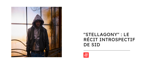 "STELLAGONY" : Le Récit Introspectif de Sid