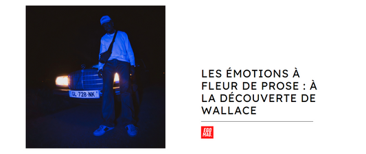 Les émotions à fleur de prose : à la découverte de Wallace