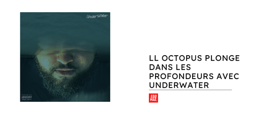LL Octopus Plonge dans les Profondeurs avec Underwater