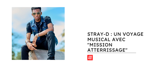 Stray-D : Un voyage musical avec "Mission Atterrissage"
