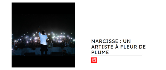 Narcisse : un artiste à fleur de plume